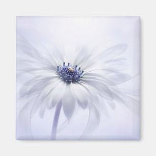 Flowers   Pale Purple Flower Magnet