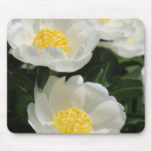 Flowers, Peonies Mouse Mat