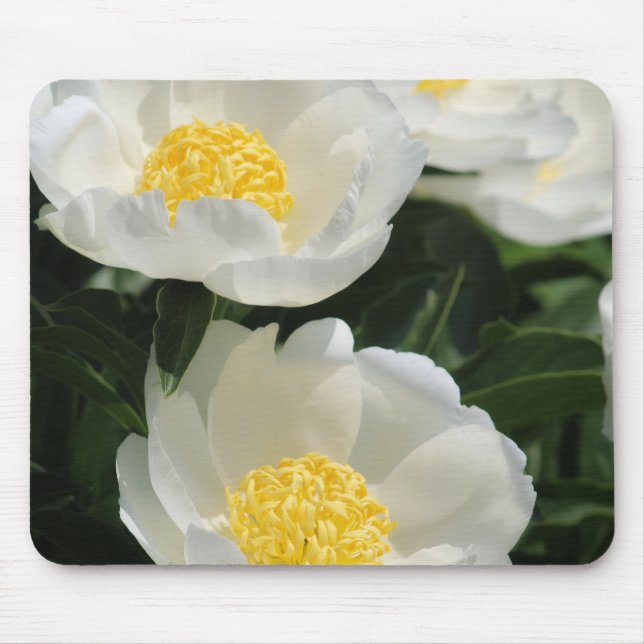 Flowers, Peonies Mouse Mat (Front)