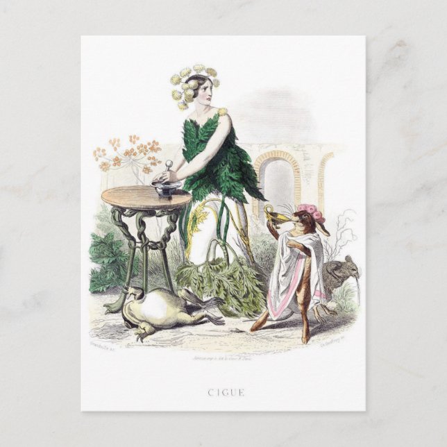 Flowers Personified Postcard (Front)