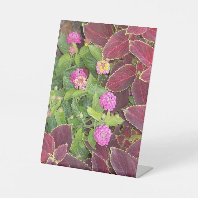 Flowers Photo Pedestal Sign (Front)