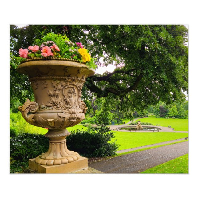 Flowers Photo Print (Front)