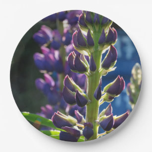 Flowers photography Plate