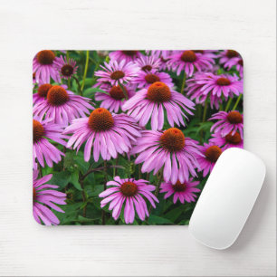 Flowers   Pink Coneflower Garden Mouse Mat