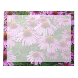 Flowers Pink Coneflower Garden Notepad