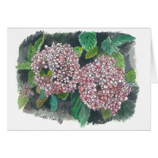 flowers - Pink Hydrangea