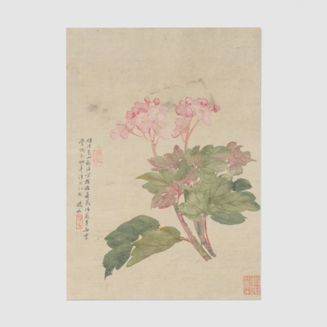 Flowers Pl. 09 by Liang Yuwei Tissue Paper (Front)