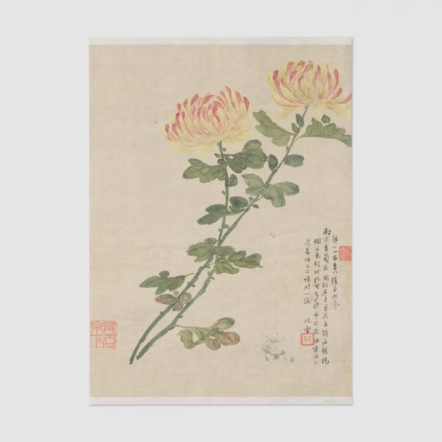 Flowers Pl. 10 by Liang Yuwei Tissue Paper (Front)