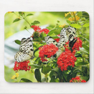 Flowers Plants Butterfly Butterflies Mouse Mat
