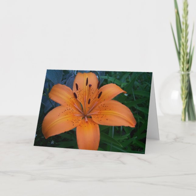 Flowers & Plants Card (Front)