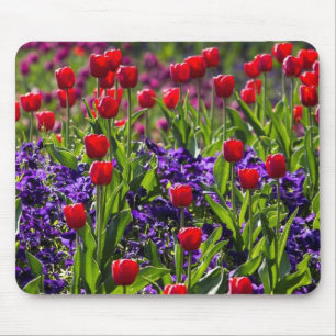 Flowers poppies mouse mat