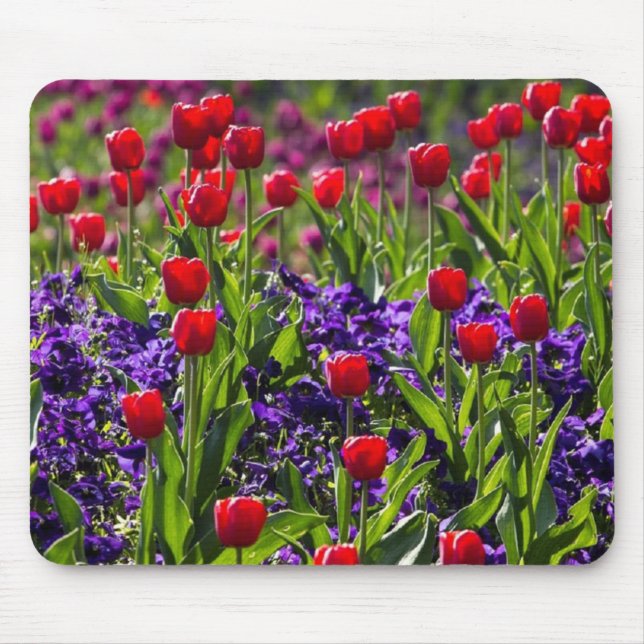 Flowers poppies mouse mat (Front)