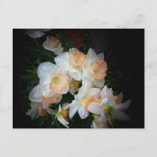 flowers postcard