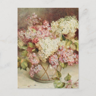 Flowers Postcard