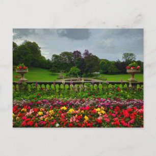 Flowers Postcard