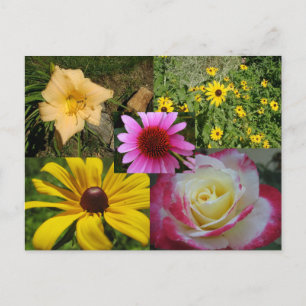 Flowers Postcard