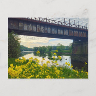 Flowers postcard