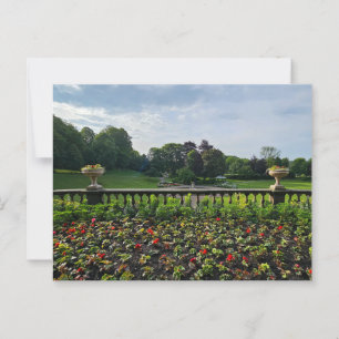Flowers Postcard