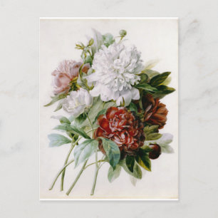 Flowers Postcard 15