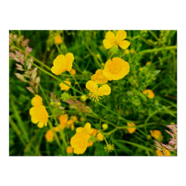 Flowers Poster (Front)