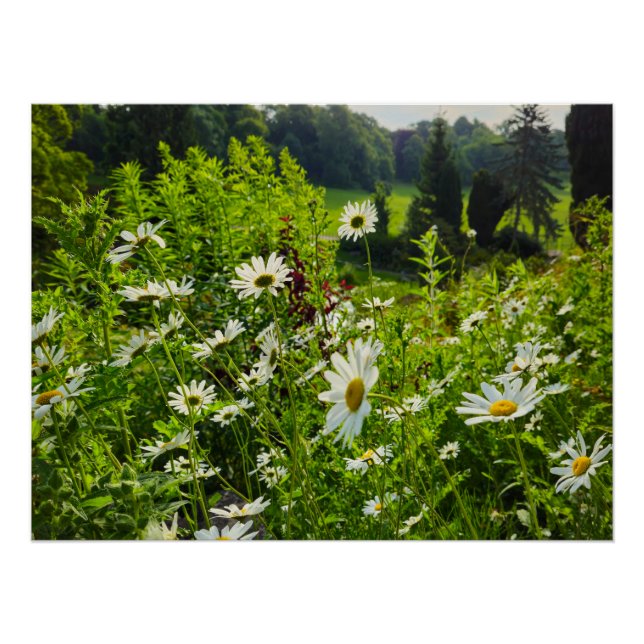 Flowers Poster (Front)