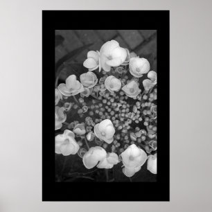 Flowers Poster