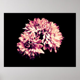 Flowers Poster
