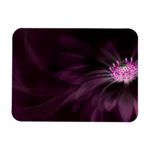Flowers   Purple Daisy Magnet