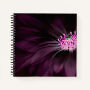 Flowers Purple Daisy Notebook