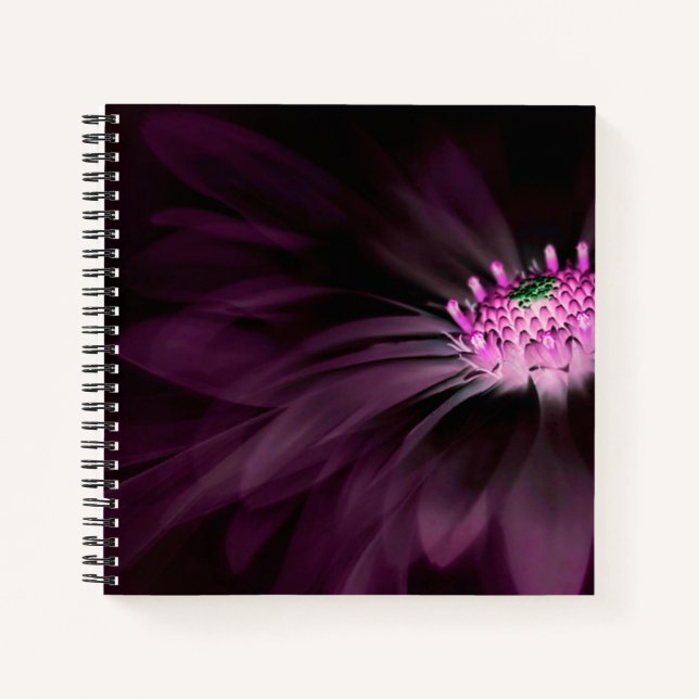 Flowers | Purple Daisy Notebook (Front)