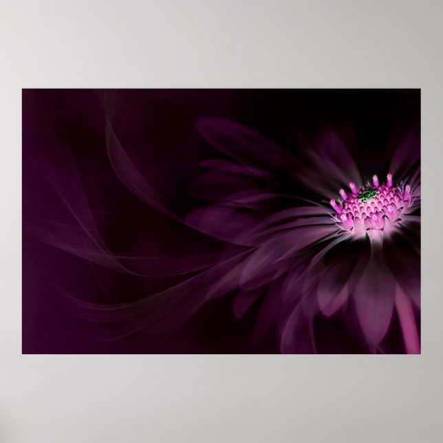 Flowers | Purple Daisy Poster (Front)