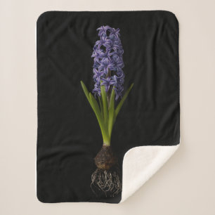 Flowers   Purple Hyacinth Bulb Sherpa Blanket