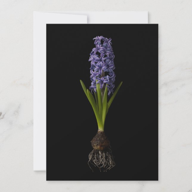 Flowers | Purple Hyacinth Bulb Thank You Card (Front)