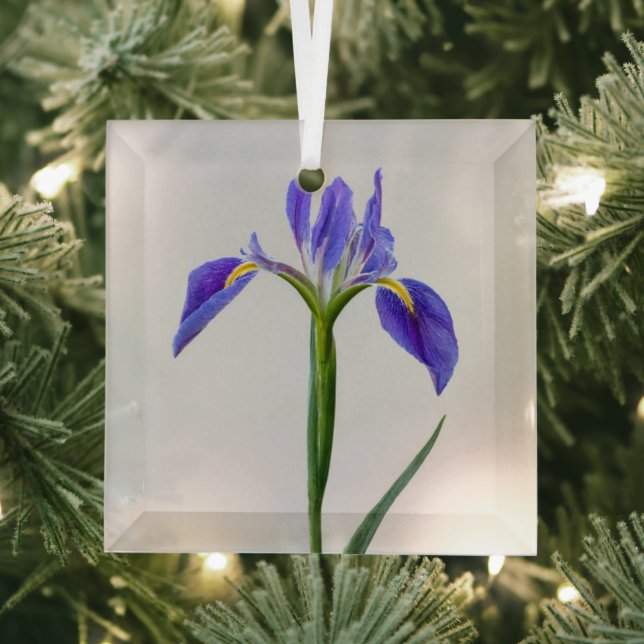 Flowers | Purple Iris Flower Glass Tree Decoration (Insitu)