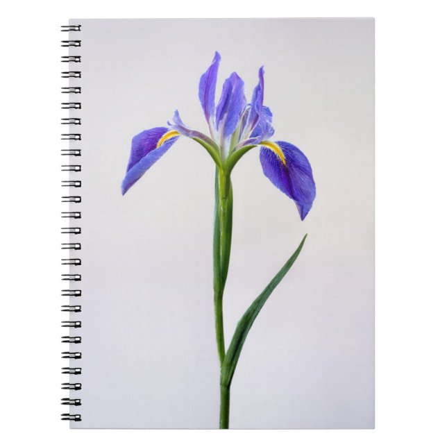 Flowers | Purple Iris Flower Notebook (Front)