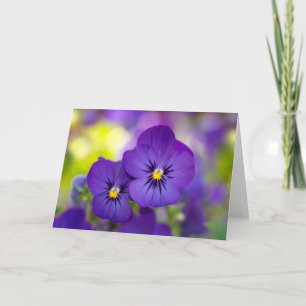 Flowers Purple Pansies Card