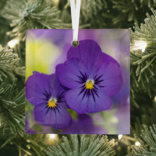 Flowers Purple Pansies Glass Tree Decoration