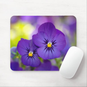 Flowers Purple Pansies Mouse Mat