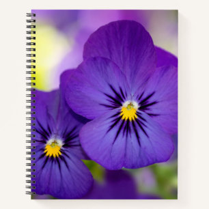 Flowers Purple Pansies Notebook