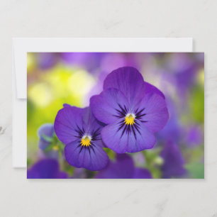 Flowers Purple Pansies Thank You Card