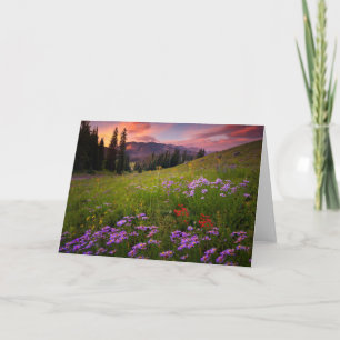 Flowers   Purple Wildflowers Colorado Card