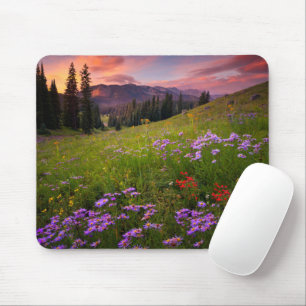 Flowers   Purple Wildflowers Colorado Mouse Mat