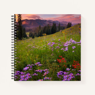 Flowers   Purple Wildflowers Colorado Notebook