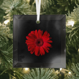Flowers Red Gerbera Daisy Glass Tree Decoration