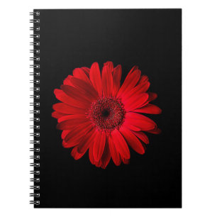 Flowers Red Gerbera Daisy Notebook