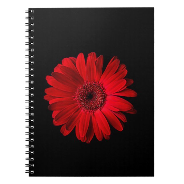 Flowers | Red Gerbera Daisy Notebook (Front)