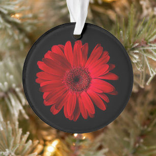 Flowers Red Gerbera Daisy Ornament