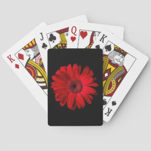 Flowers Red Gerbera Daisy Playing Cards