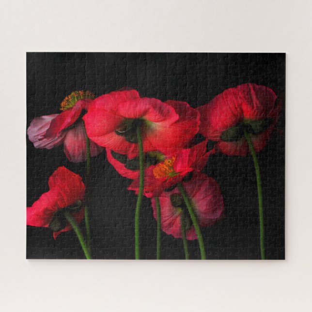 Flowers | Red Poppies Jigsaw Puzzle (Horizontal)