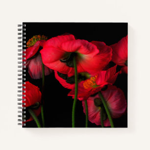 Flowers Red Poppies Notebook